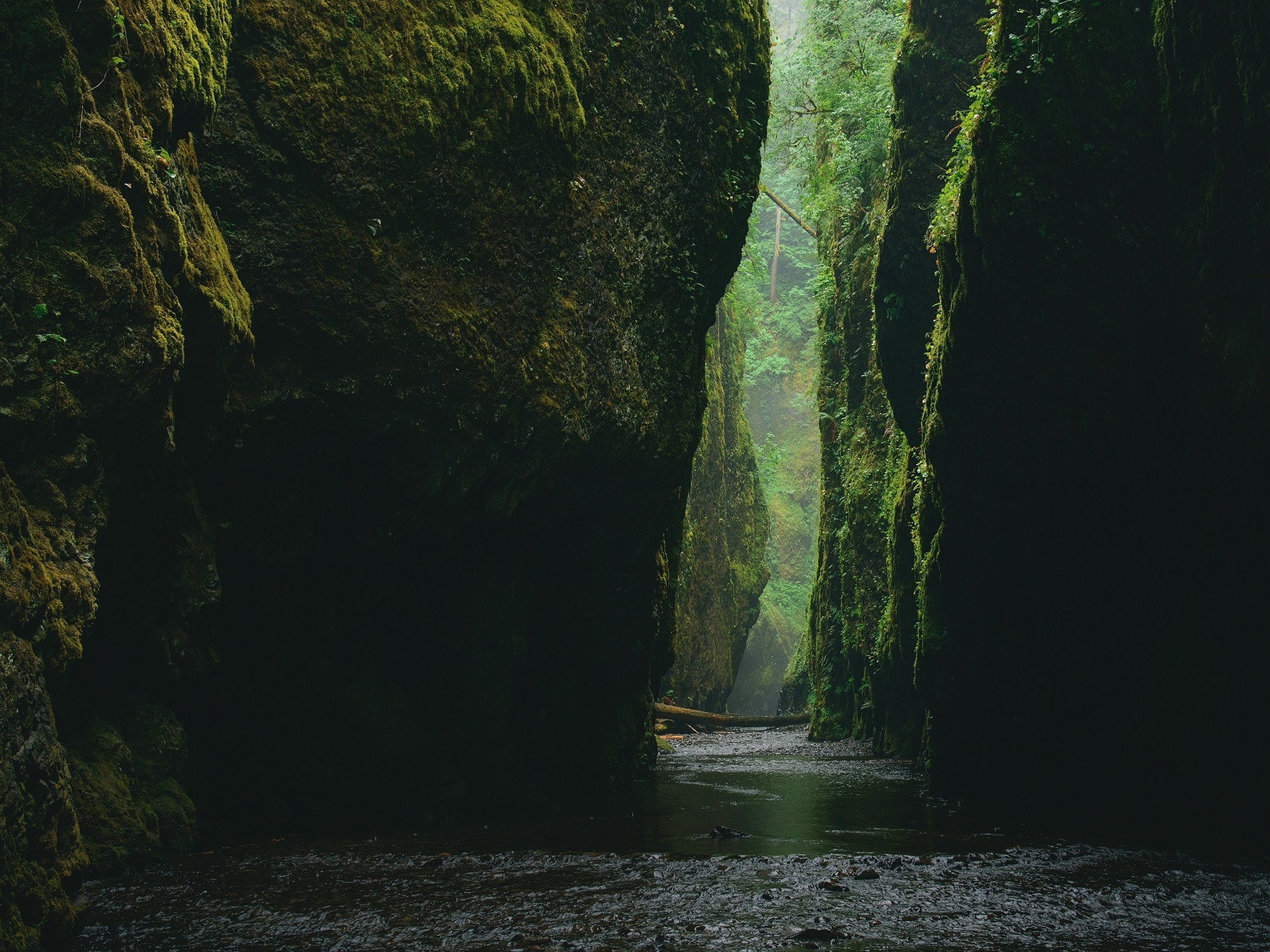 Role of The Hero's Journey in Fiction and in Writing Adventure Games